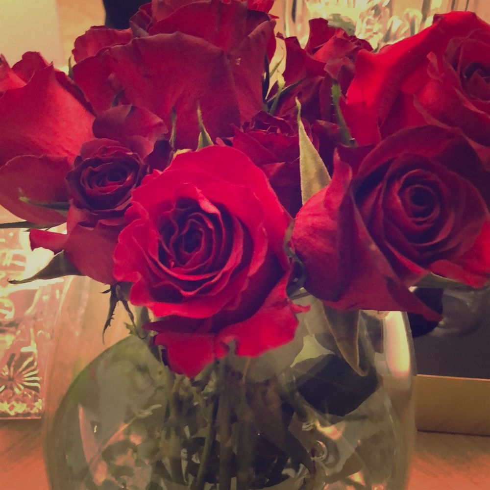 Meet your Posher, Tanya